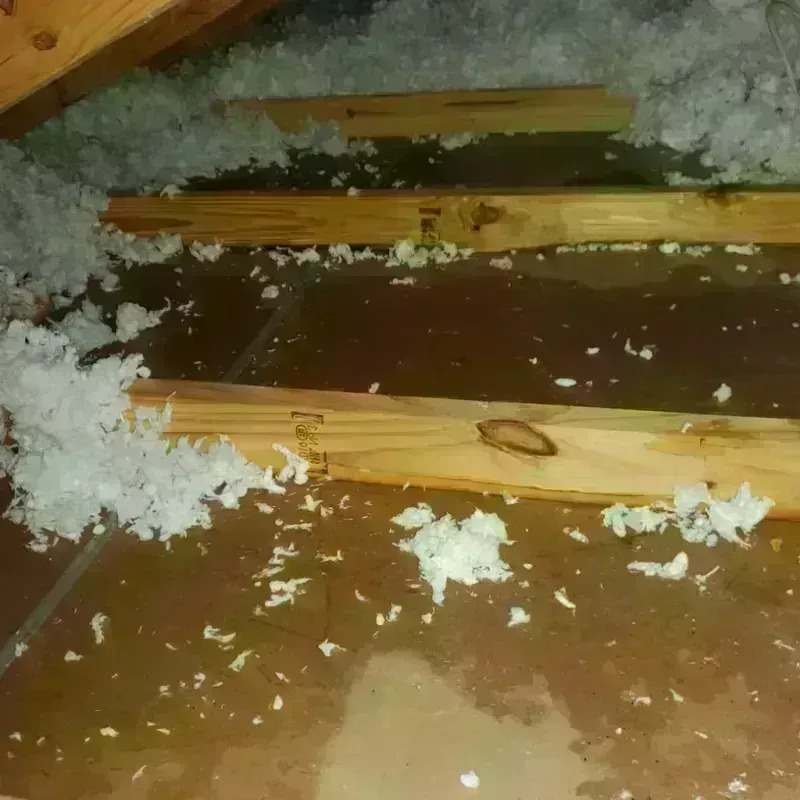 Attic Water Damage in Great River, NY