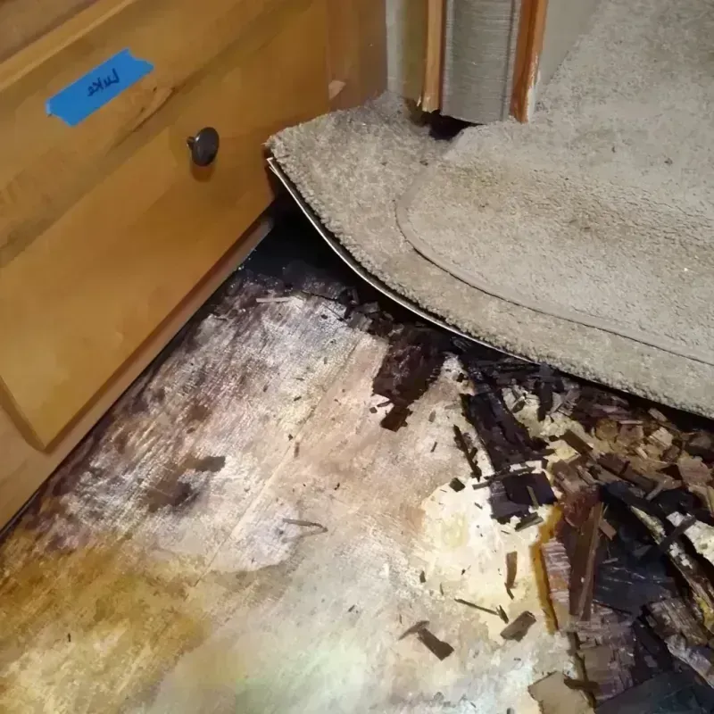 Best Wood Floor Water Damage Service in Great River, NY